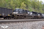 NS 1011